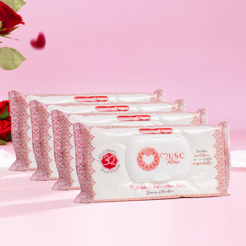 Lingettes toilette Intime Rose Mystik x120 – lot de 4